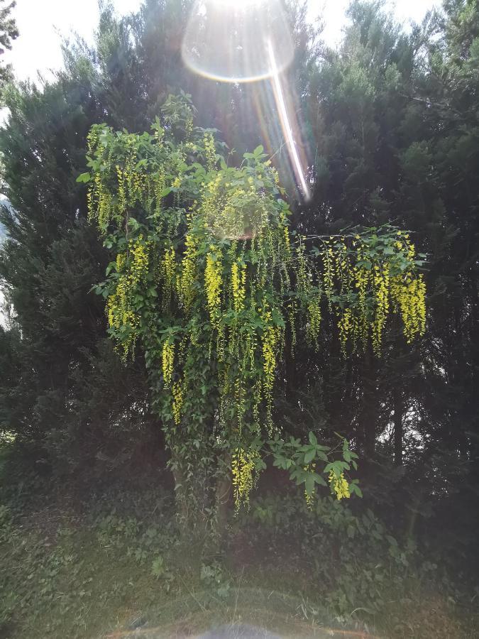Bellavista Apartman Emmetten Kültér fotó